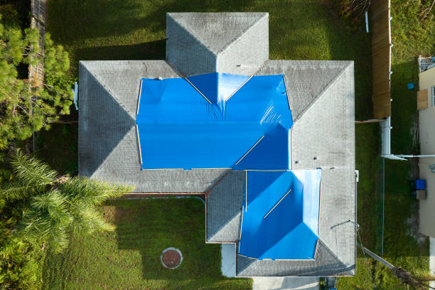 Best Roof Maintenance and Cleaning  in Duncansville, PA
